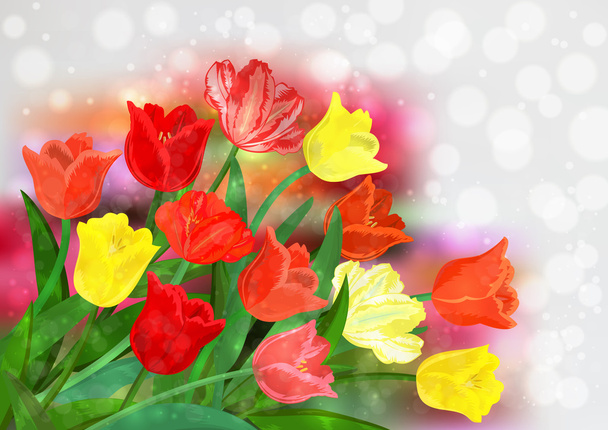 Colorful tulips background - Vector, Image