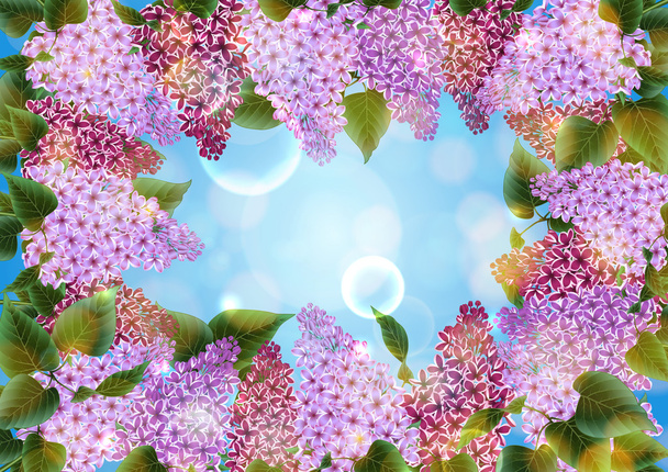 Сирень цветы украшения
 - Вектор,изображение