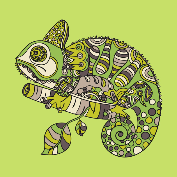 Hand drawn chameleon - Vector, Image