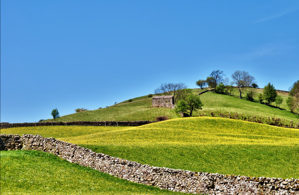 Pastoral kohtaus rehevä Englanti niityt
 - Valokuva, kuva