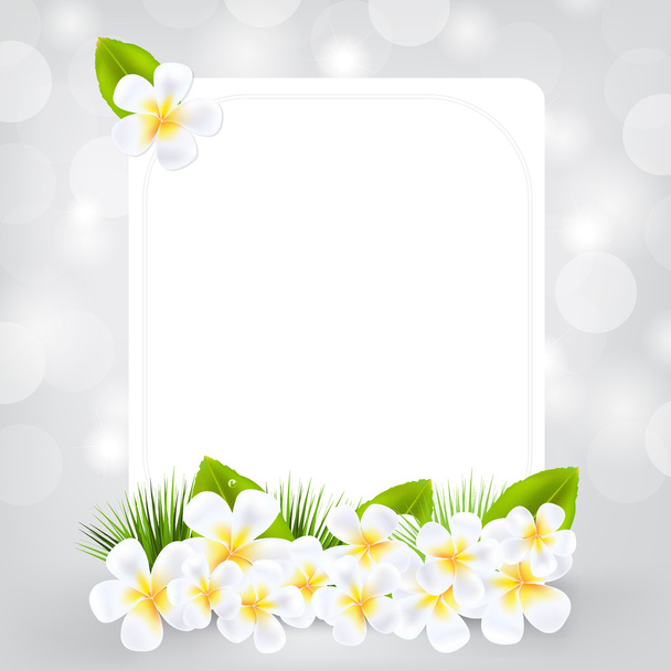 Gift Card With Frangipani - Vector, afbeelding
