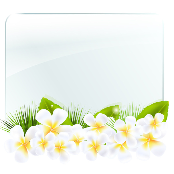 Glass Frame With Frangipani - Vector, afbeelding