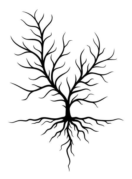 Big tree with roots. - Vector, Image