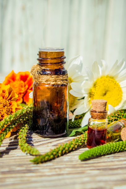 Alternative herbal medicine with medicinal plants essence bottles - Photo, Image