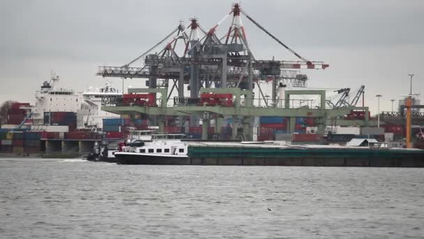 Schiffe passieren Kräne im Hafen von Rotterdam - Filmmaterial, Video