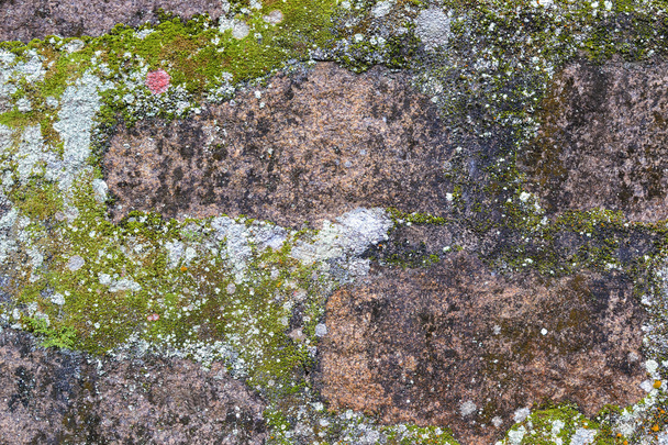 Fundo de rocha, mofo, musgo e licor
 - Foto, Imagem