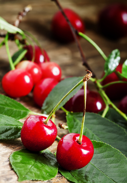 Fresh cherries with leaves  - Фото, изображение