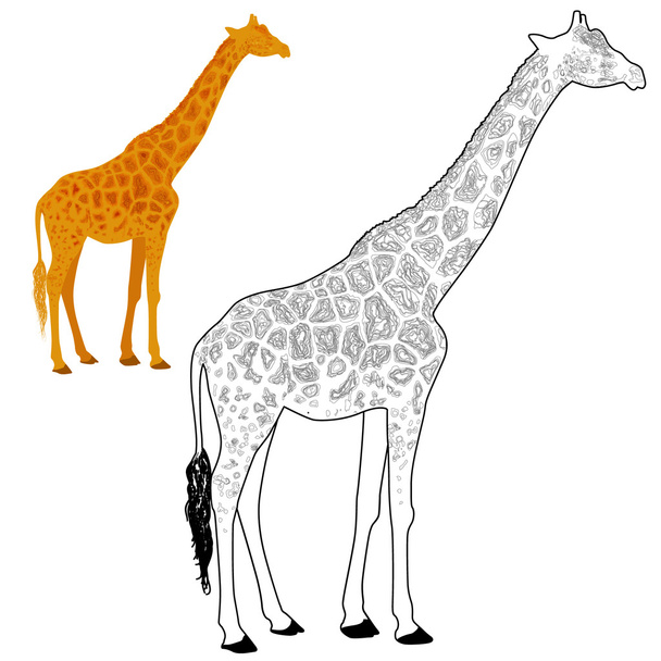 Giraffe coloring page - ベクター画像
