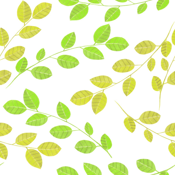 Bezszwowy wzór z gałęzi akwareli z zielonymi listwami, ręcznie malowane na białym tle - Zdjęcie, obraz