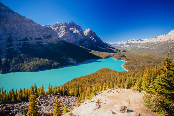 Lago Peyto, Parque Nacional Banff, Montañas Rocosas, Alberta, Canad
 - Foto, Imagen