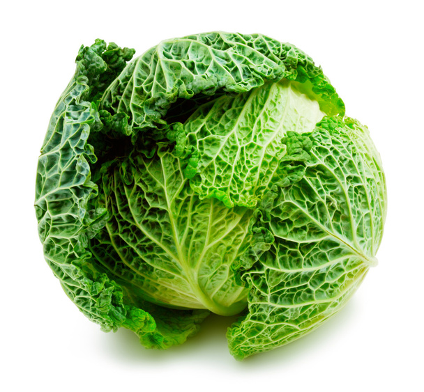 Cabbage - Foto, Bild