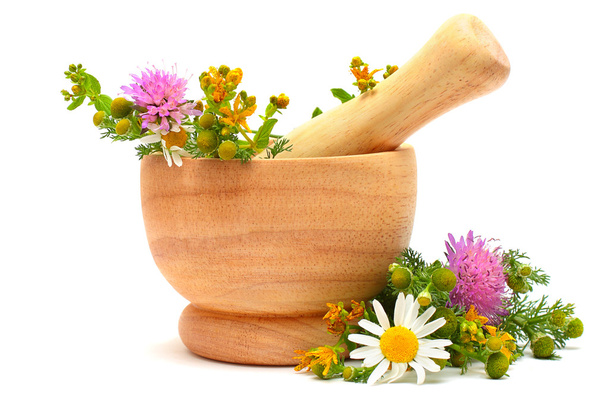 Mortar, medicine herbs and flowers - Photo, Image