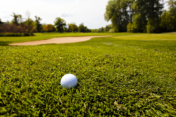 Golf topu çim, Not alan sığ derinliği - Fotoğraf, Görsel