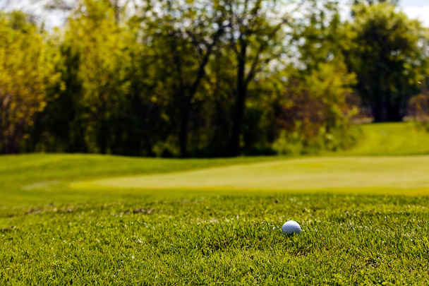 golfový míček na zelené trávě u lesa, všimněte si mělké hloubky pole - Fotografie, Obrázek
