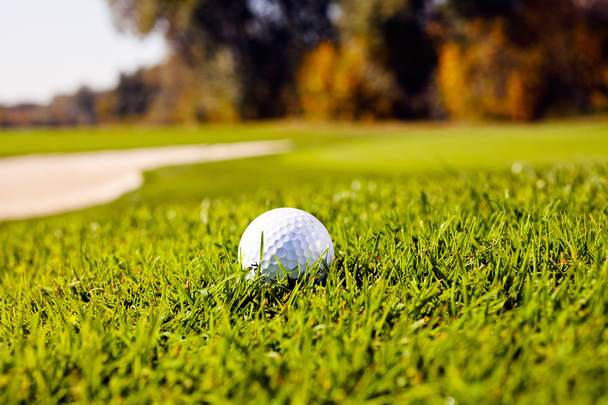 мячик для гольфа на зеленой траве, обратите внимание на поверхностную глубину поля
 - Фото, изображение
