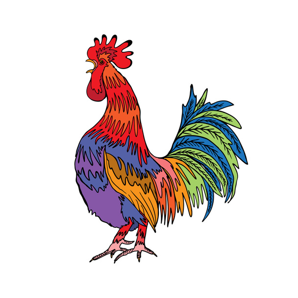 Rooster in color, hand drawing cock  - Vektör, Görsel