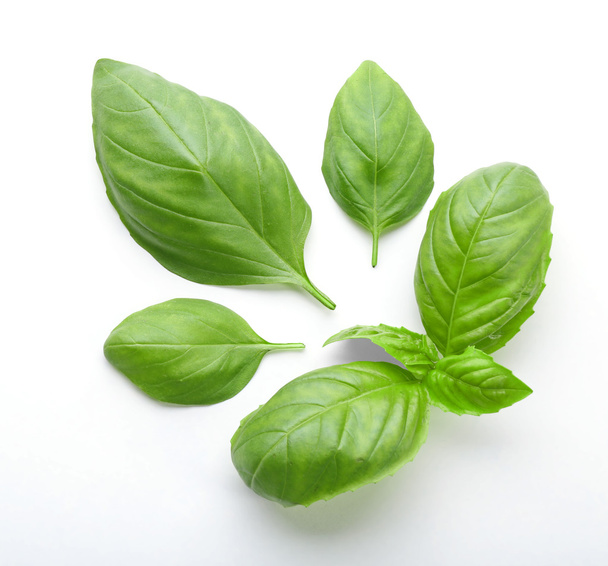 Fresh basil leaves  - Фото, зображення