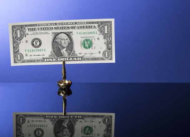 one dollar bill in holder on blue with reflection - Photo, image