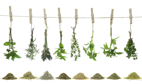 Fresh herbs hanging on a rope - Photo, Image