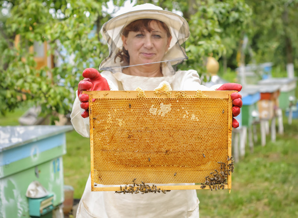 Пчеловод, контролирующий гребень
 - Фото, изображение