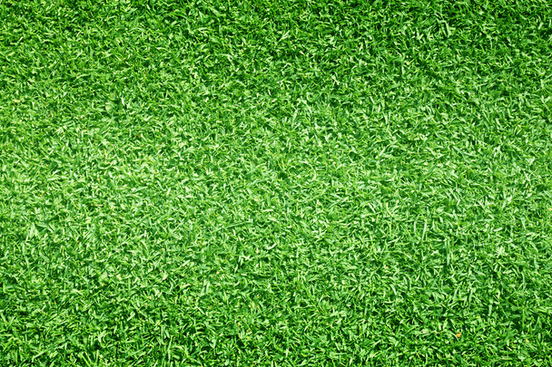 Golf Courses green lawn - Fotoğraf, Görsel
