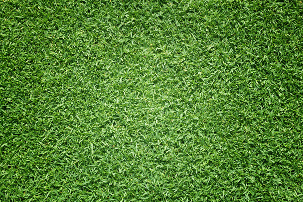 Поле для гольфу зелений газон
 - Фото, зображення