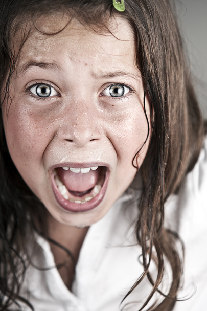 Child Screaming at Camera - Photo, Image