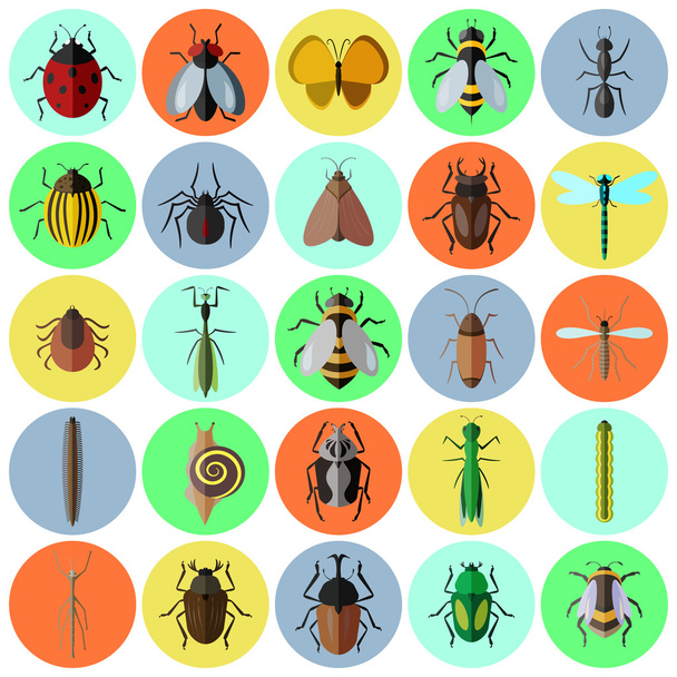 insects flat icon set - Vector, Image