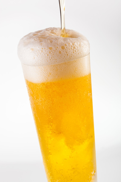 Frissítő korsó Pilsner sör - Fotó, kép