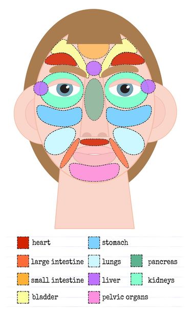 顔に鍼治療領域 - ベクター画像