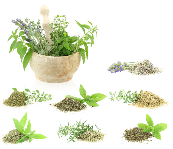 Herbs and spices collection - Photo, Image