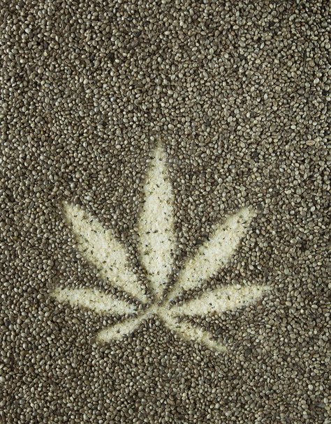  hennep zaden marihuana blad vorm achtergrond - Foto, afbeelding