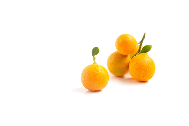 Kumquat arancione posto su sfondo bianco
 - Foto, immagini