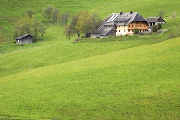 boerderij in het Zwarte Woud, Duitsland - Foto, afbeelding