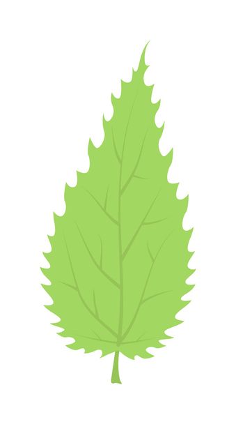 Leaf icon vector illustration. - Vector, Image