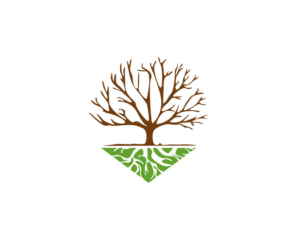 Logo Baumwurzeln - Vektor, Bild