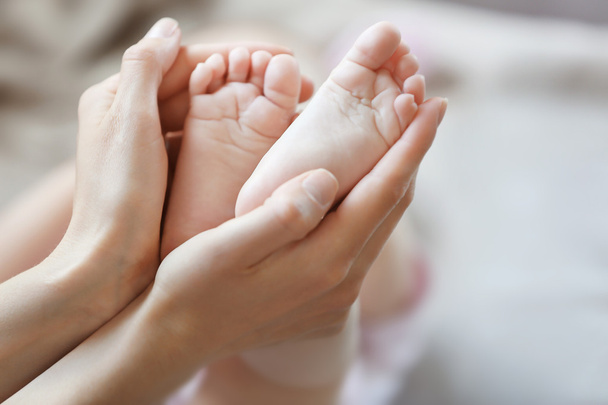 baby feet in hands - Photo, image