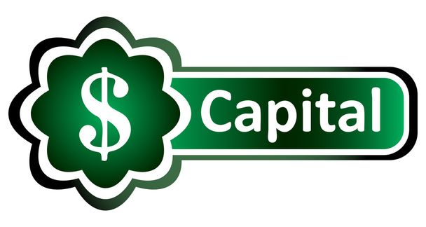 Double icon green capital - Vector, Image