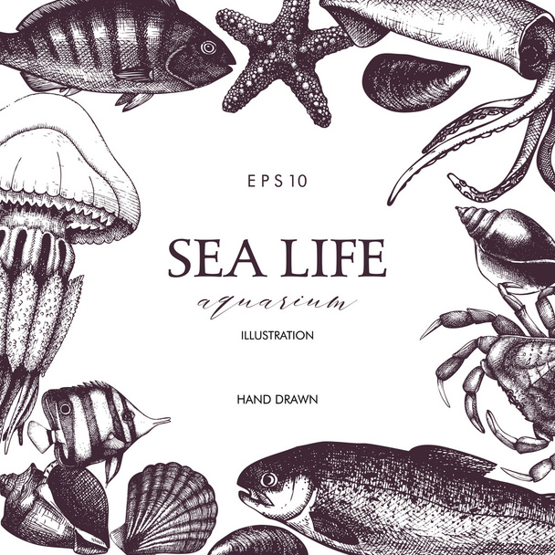 Sea life design  - Vektori, kuva