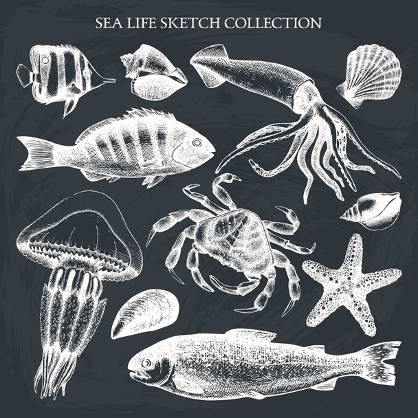 Collection of sea life - Vettoriali, immagini
