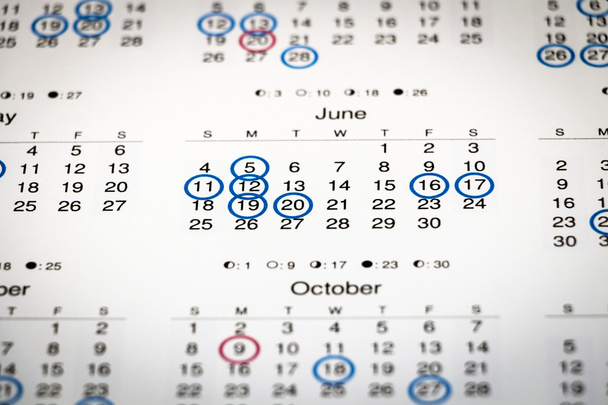 Даты отмеченные в календаре
 - Фото, изображение
