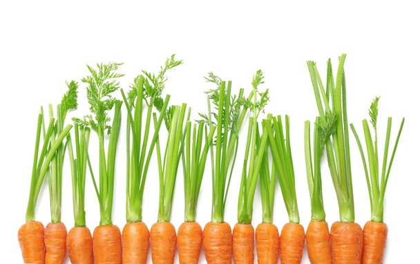 fresh ripe Carrots  - Zdjęcie, obraz