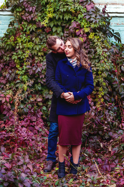 Пара поцелуев рядом с красочной изгородью
 - Фото, изображение