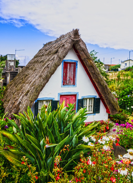 Madeira, Portugal. Dorp, vakantiehuis in zomer, Santana - Foto, afbeelding