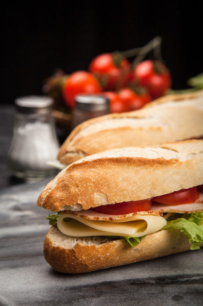 Panini grilled sandwich - Фото, изображение