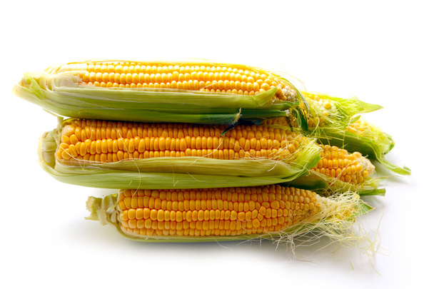 el hermoso maíz maduro
 - Foto, Imagen
