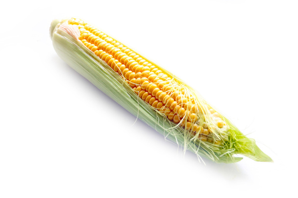 the beautiful ripe  corn - Фото, изображение