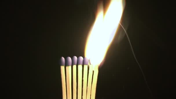 brandende lucifer in het donker - Video