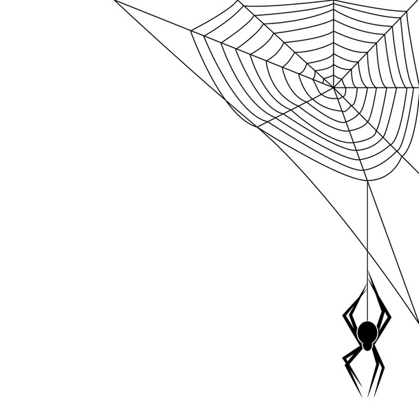Pavouk - Vektor, obrázek