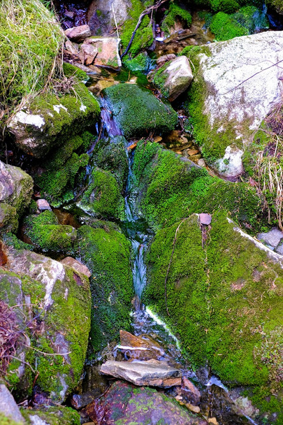 Stream among stones - Фото, зображення